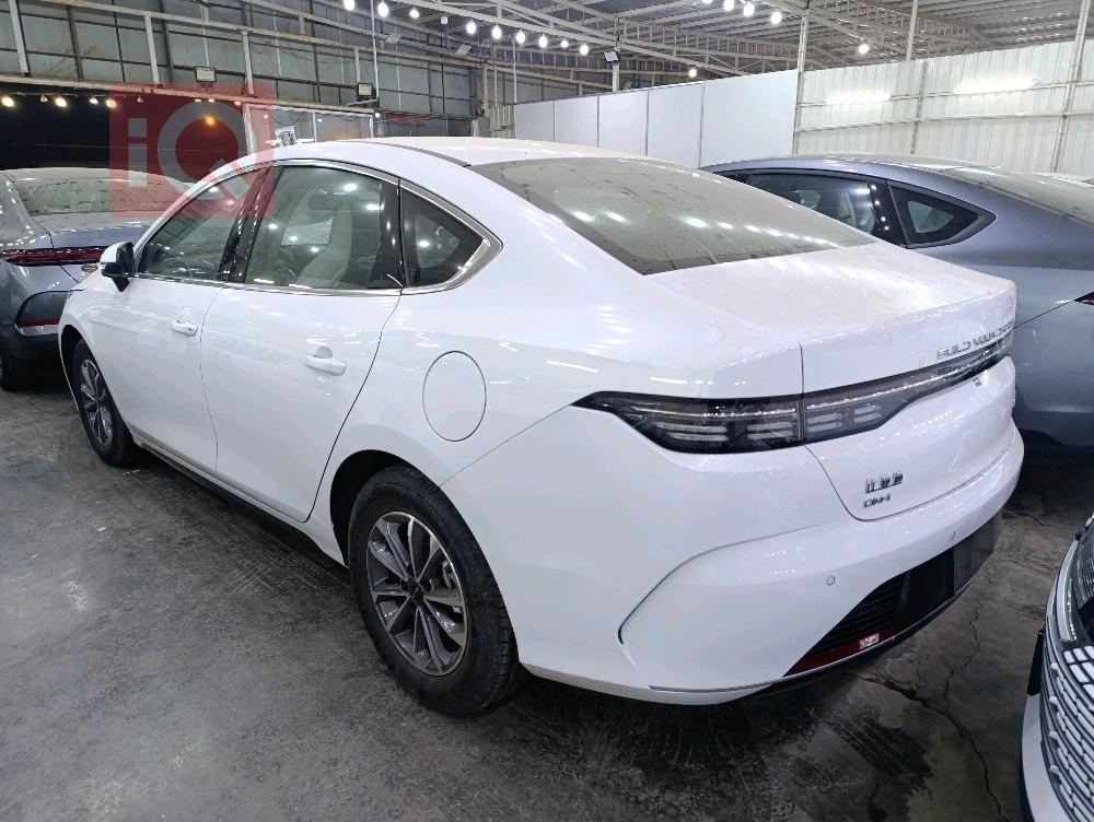 بي واي دي ديستروير 05